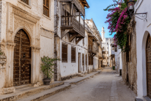 Traditional Swahili architecture along the streets of Lamu